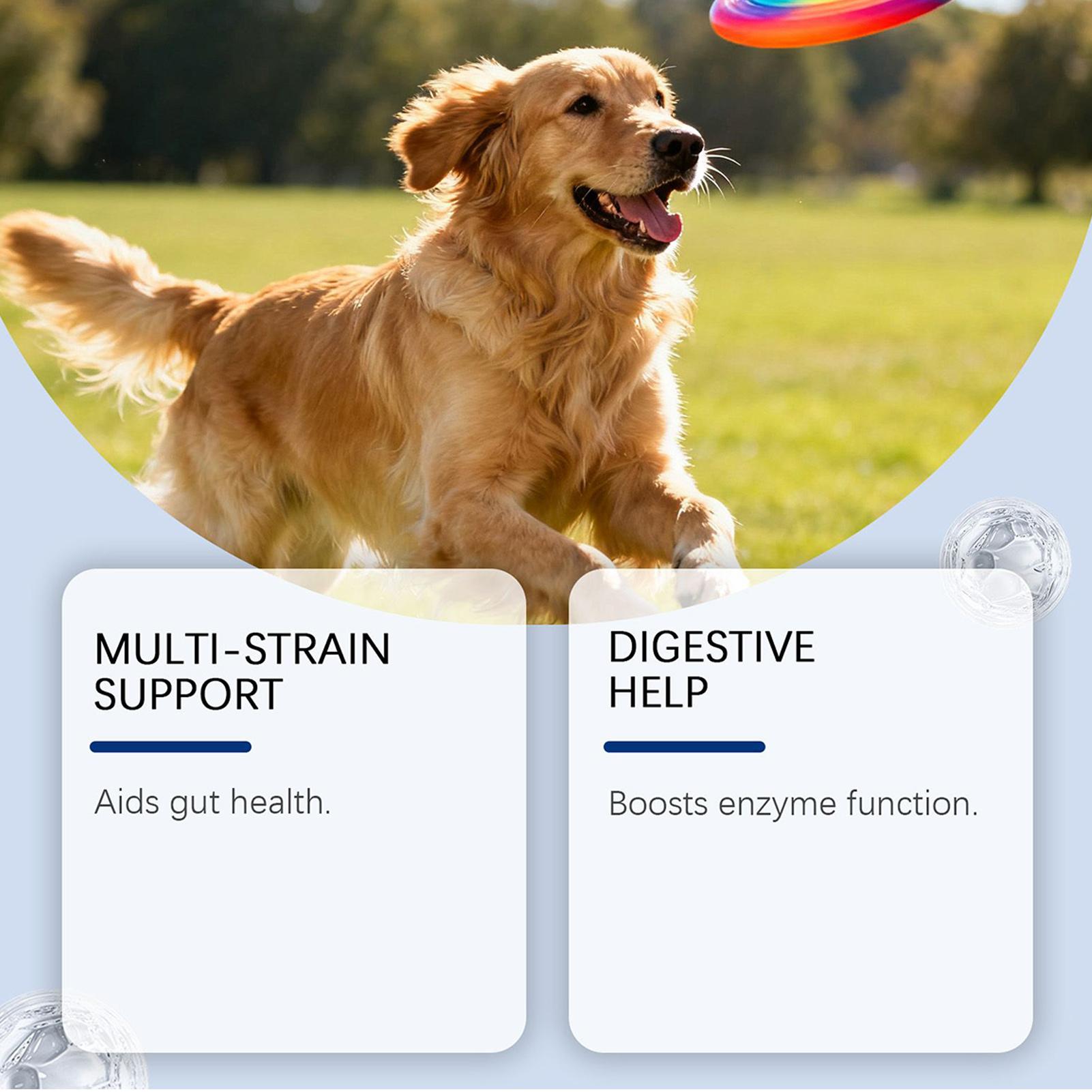 Köpek Sağlığı İçin Ödül Mamala - Health Wellness Food incelemesi ve fiyatı